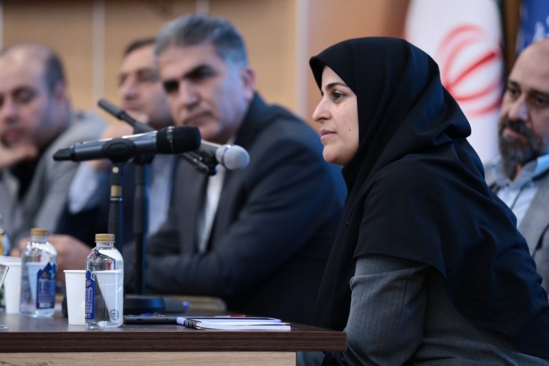 خلوصی : هدف ایمیدرو در مدل های جدید سرمایه گذاری، جهش در اکتشاف است