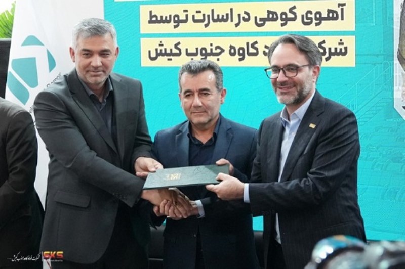 فولاد کاوه نجات بخش آهوی کوهی