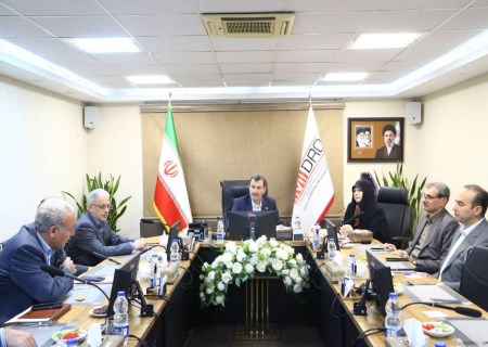درخواست مهم سمیعی‌نژاد از دولت؛ منابع حاصل از واگذاری‌ها به ایمیدرو بازگردد