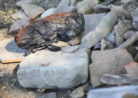اوج‌گیری درآمدی «کگهر» در اردیبهشت‌ماه