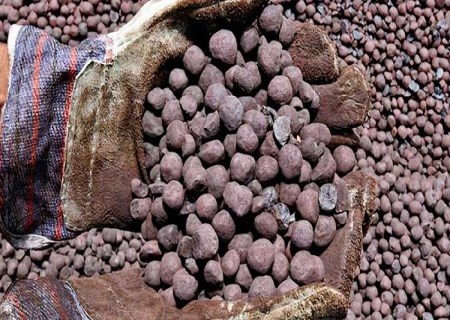 شوک ۲۰ دلاری به بازار گندله؛ فرمول جدید قیمت‌گذاری زیر ذره‌بین رفت